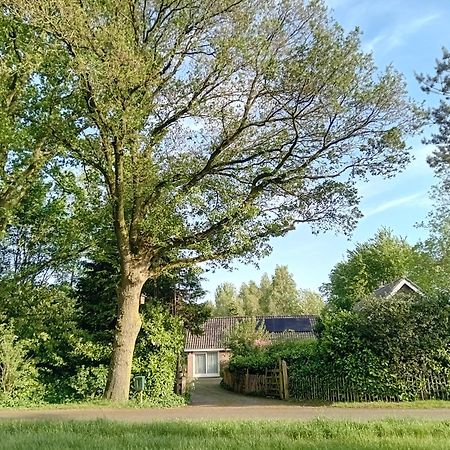 Ruim Huisje Op Een Prachtige Plek Hemrik Экстерьер фото