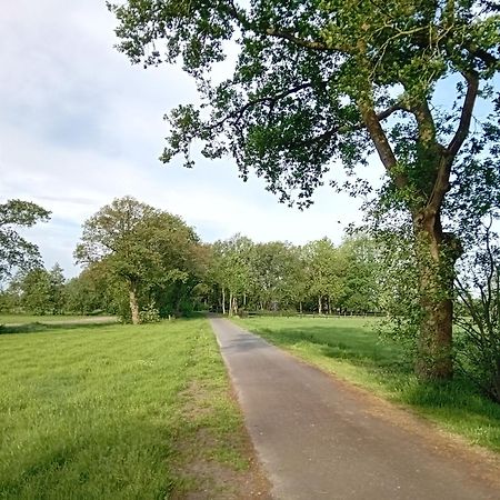 Ruim Huisje Op Een Prachtige Plek Hemrik Экстерьер фото