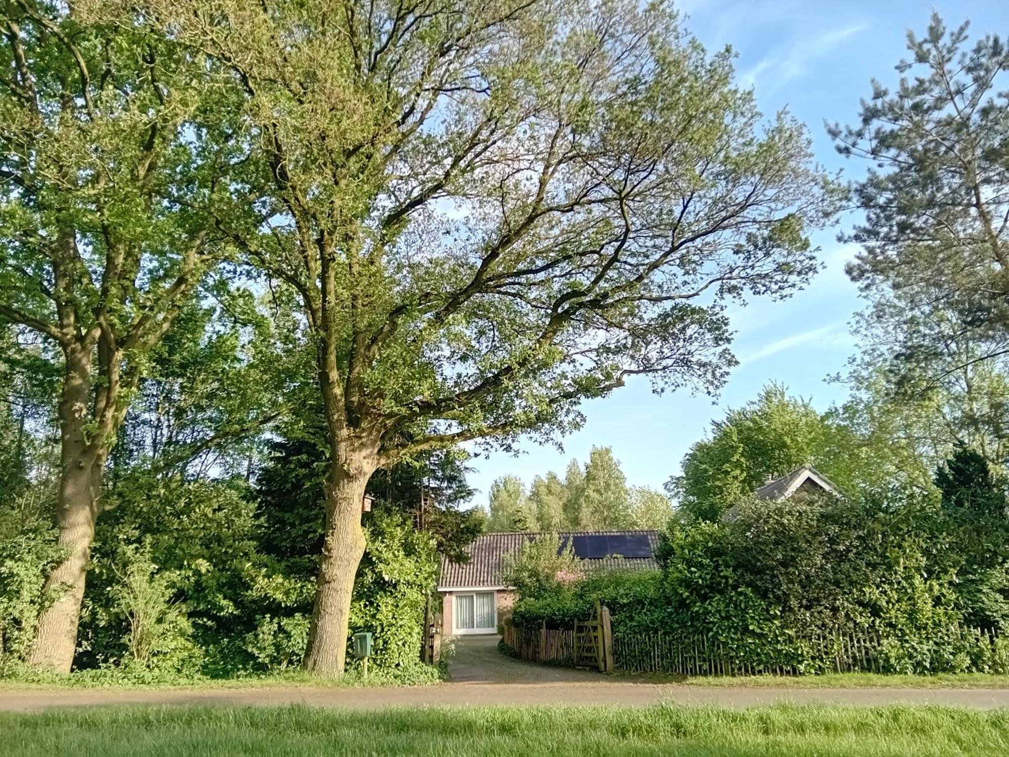 Ruim Huisje Op Een Prachtige Plek Hemrik Экстерьер фото