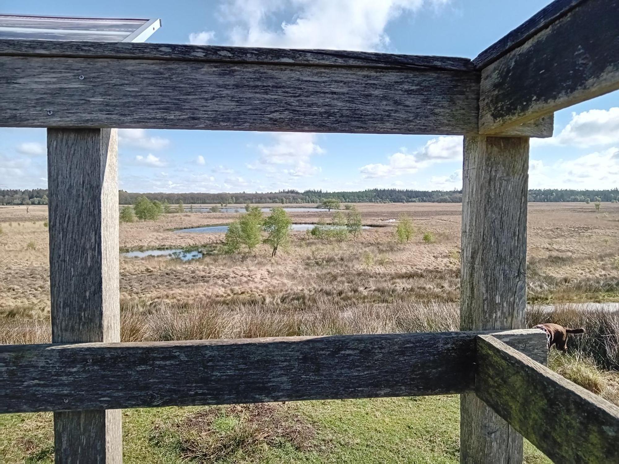 Ruim Huisje Op Een Prachtige Plek Hemrik Экстерьер фото
