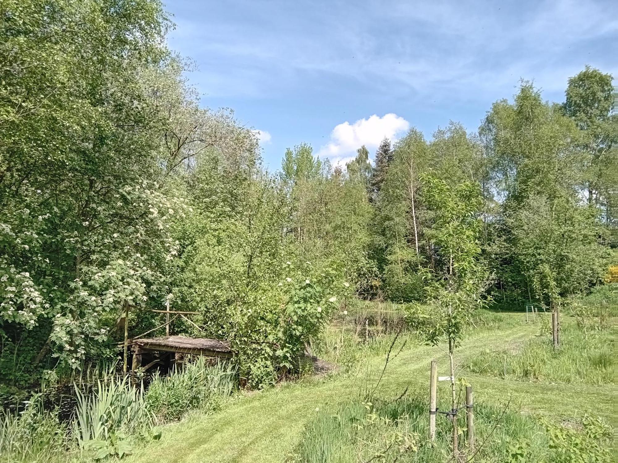 Ruim Huisje Op Een Prachtige Plek Hemrik Экстерьер фото