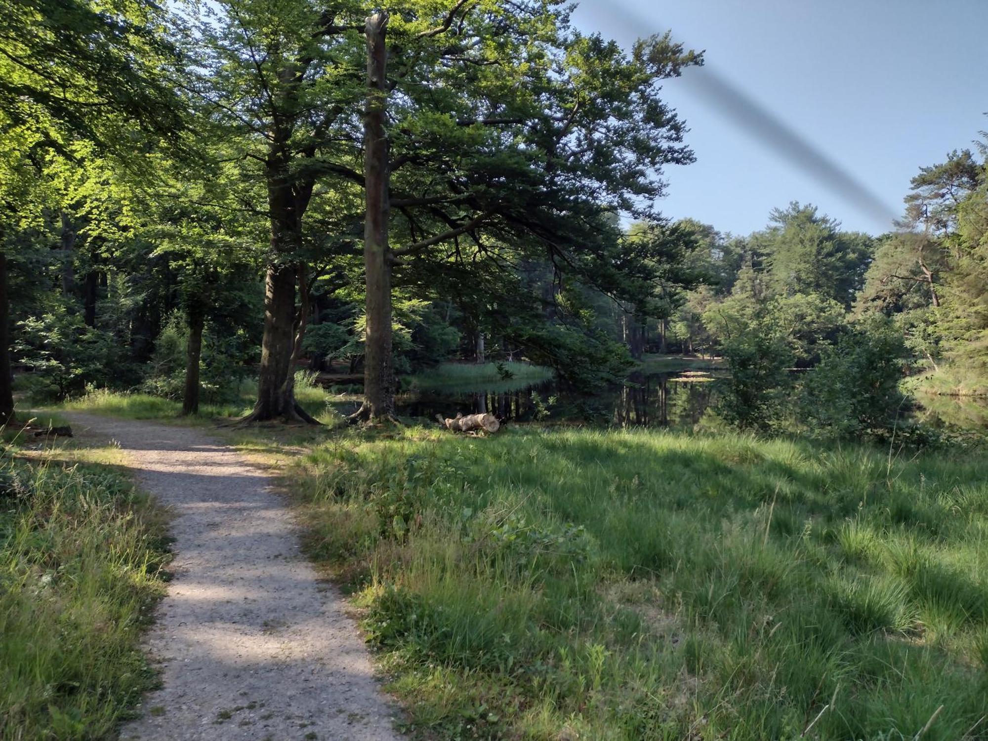 Ruim Huisje Op Een Prachtige Plek Hemrik Экстерьер фото